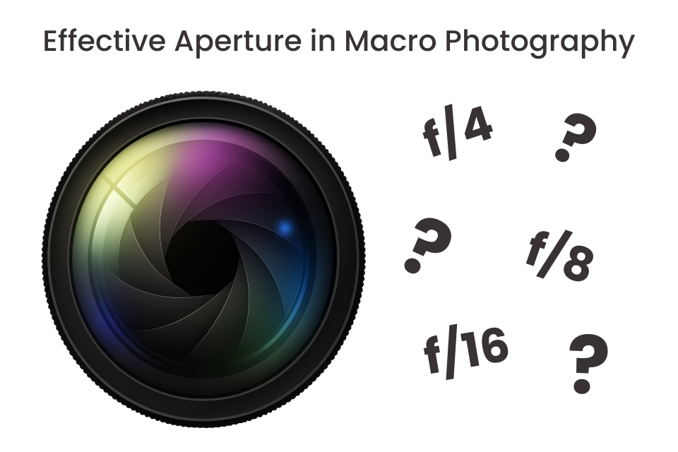 Macro photography
