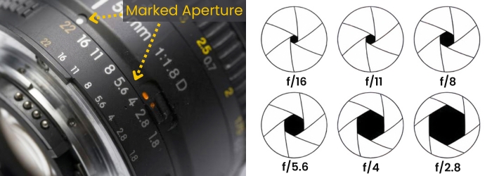 Beginner Macro
