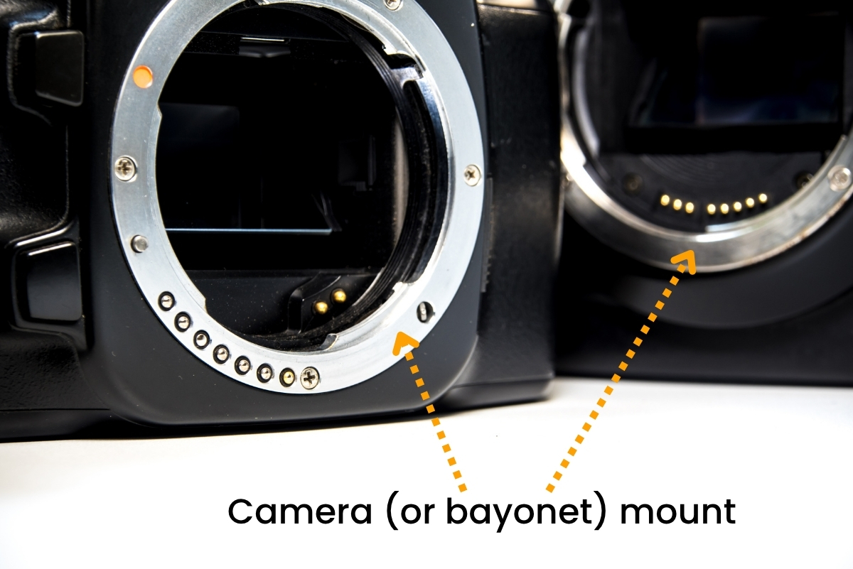 Camera bayonet mount