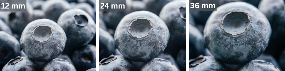 Macro photography