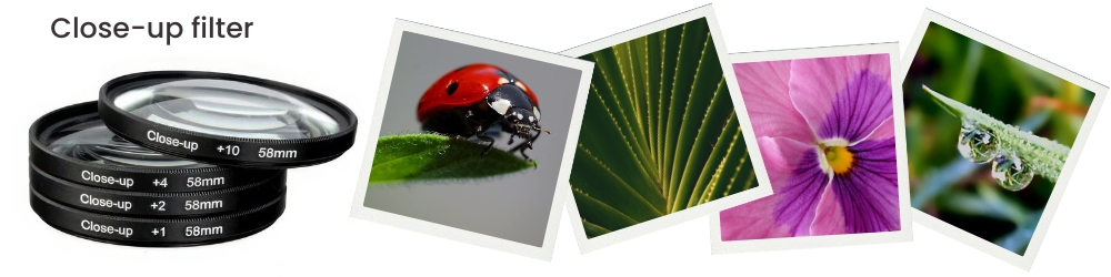 Macro Photography