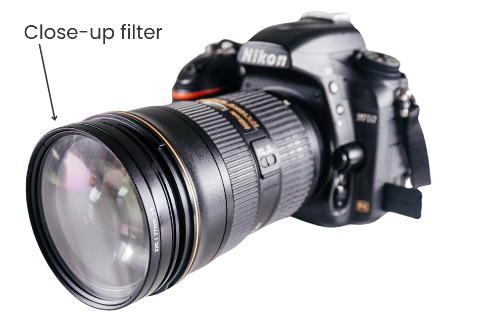 Beginner Macro: Close-Up Filters