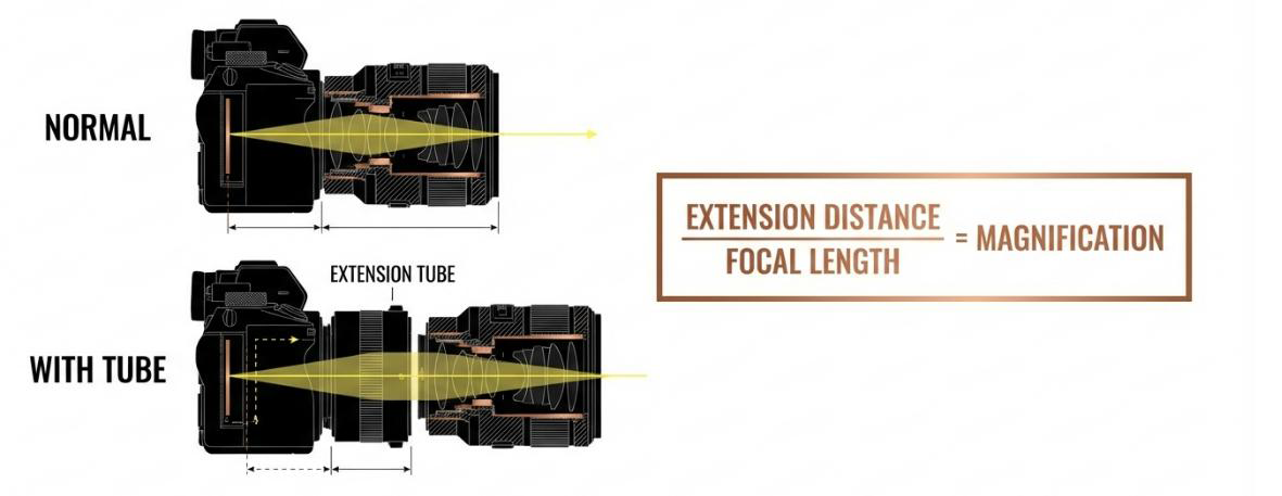 Chart comparing the magnification gain of a 25mm extension tube on 50mm, 100mm and 200mm lenses