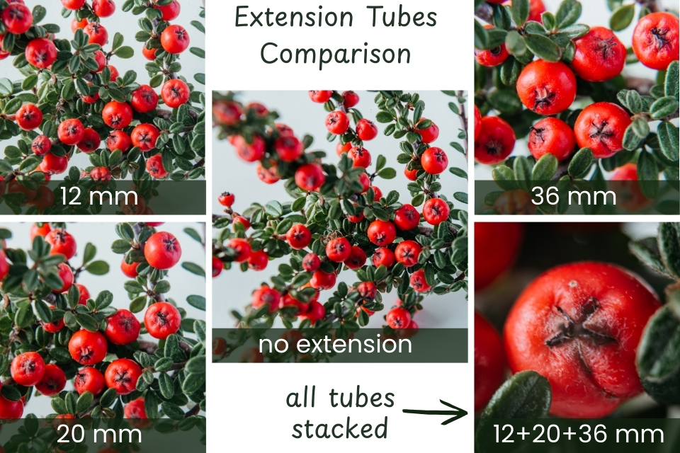 Meike Extension Tubes for budget macro photography