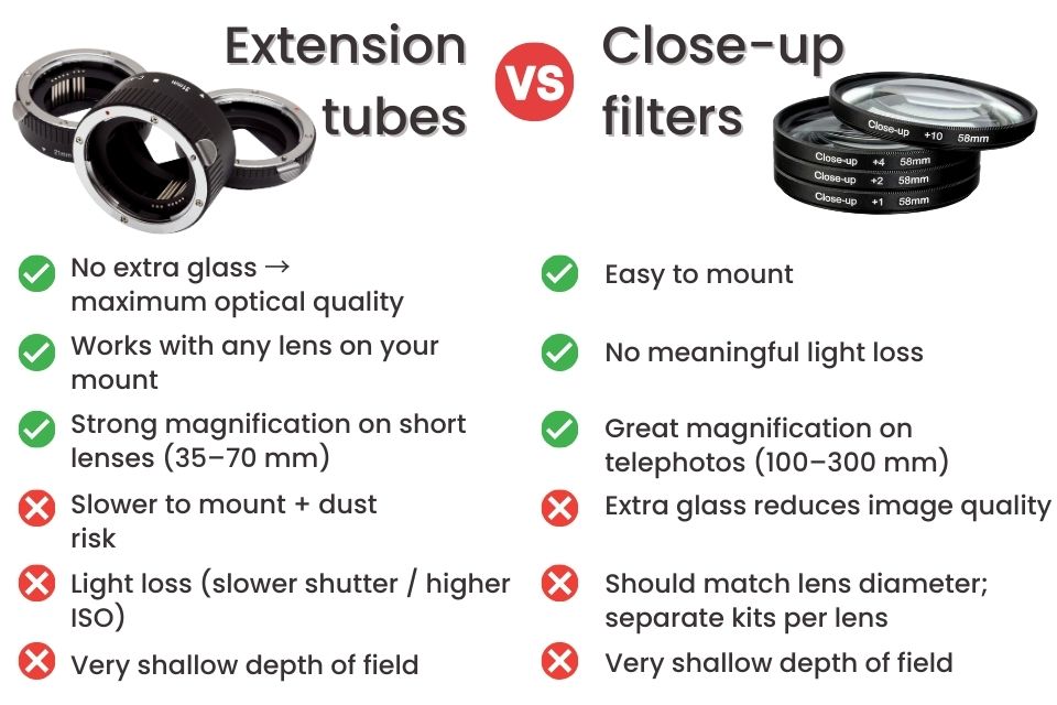 Beginner Macro: Extension Tubes vs Close-Up Filters