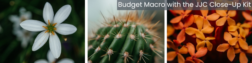 Beginner Macro
