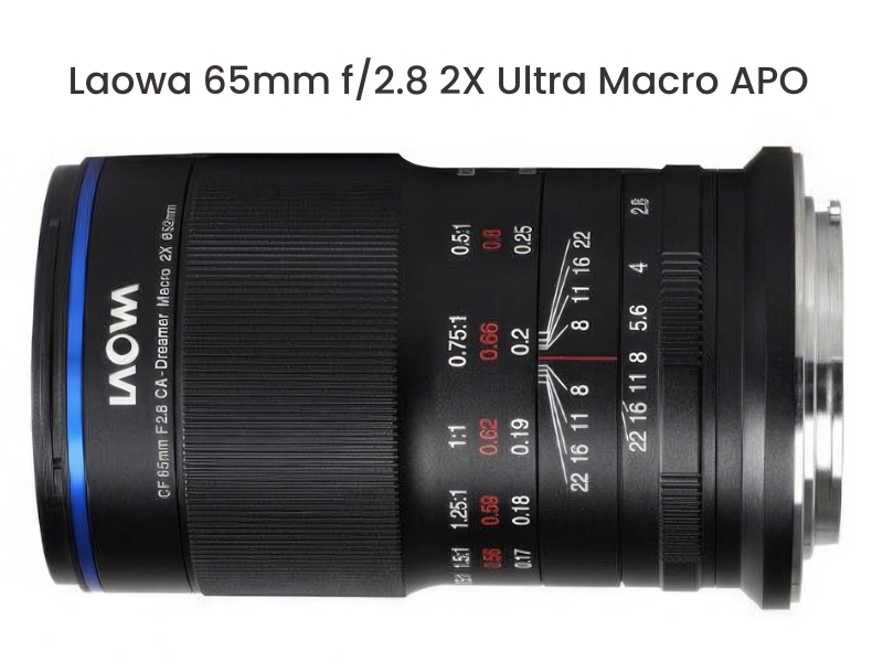 Laowa 65mm f/2.8 2X Ultra Macro APO