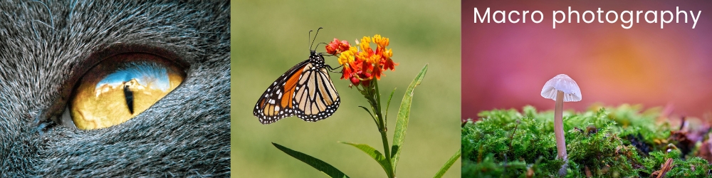 Macro photography