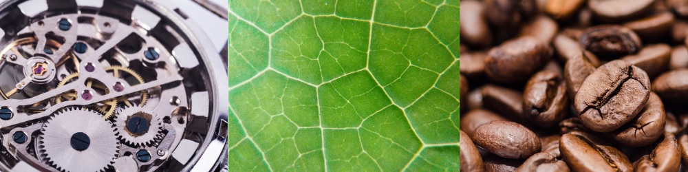Macro photography
